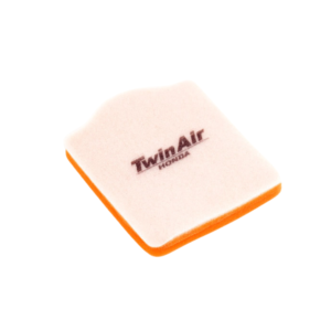 Filtre à Air Twin Air 150600