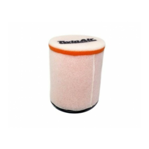 Filtre à Air Twin Air 150915