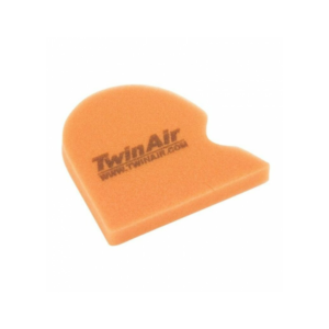 Filtre à Air Twin Air 151335