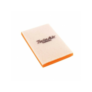 Filtre à Air Twin Air 152421