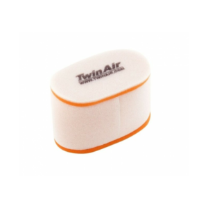 Filtre à Air Twin Air 156005