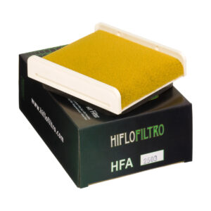 Filtre à Air HifloFiltro HFA2503