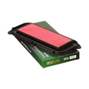 Filtre à Air HifloFiltro HFA5003