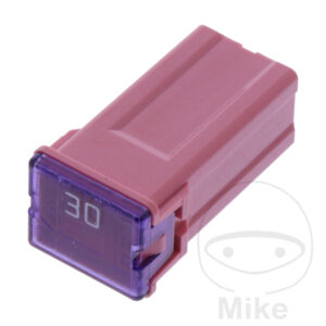 PAL FUSE J 30A