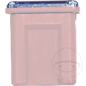 Fusible PAL J 30A Emballage blister 1 pi