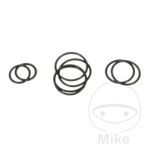 O RING KIT