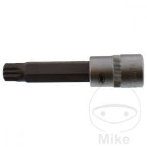 Insérer multi-dent 1/2 pouce M14 JMP