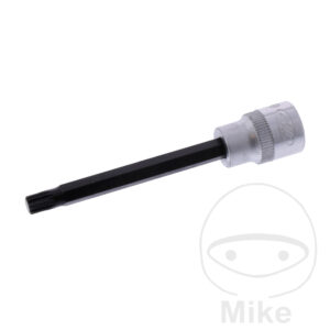 Embout de vissage 3/8 M6