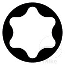 GELENKNUSS TOEX 1/4 E10 GELENKNUSS TOEX 1/4 E10 – Image 2