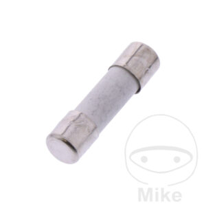 Fusible en verre 250MA 5 acier