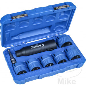 Goujon REINIGUNGSSET