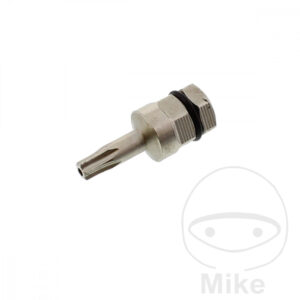 Bit Torx T15 avec alésage 5/16 6 Kant