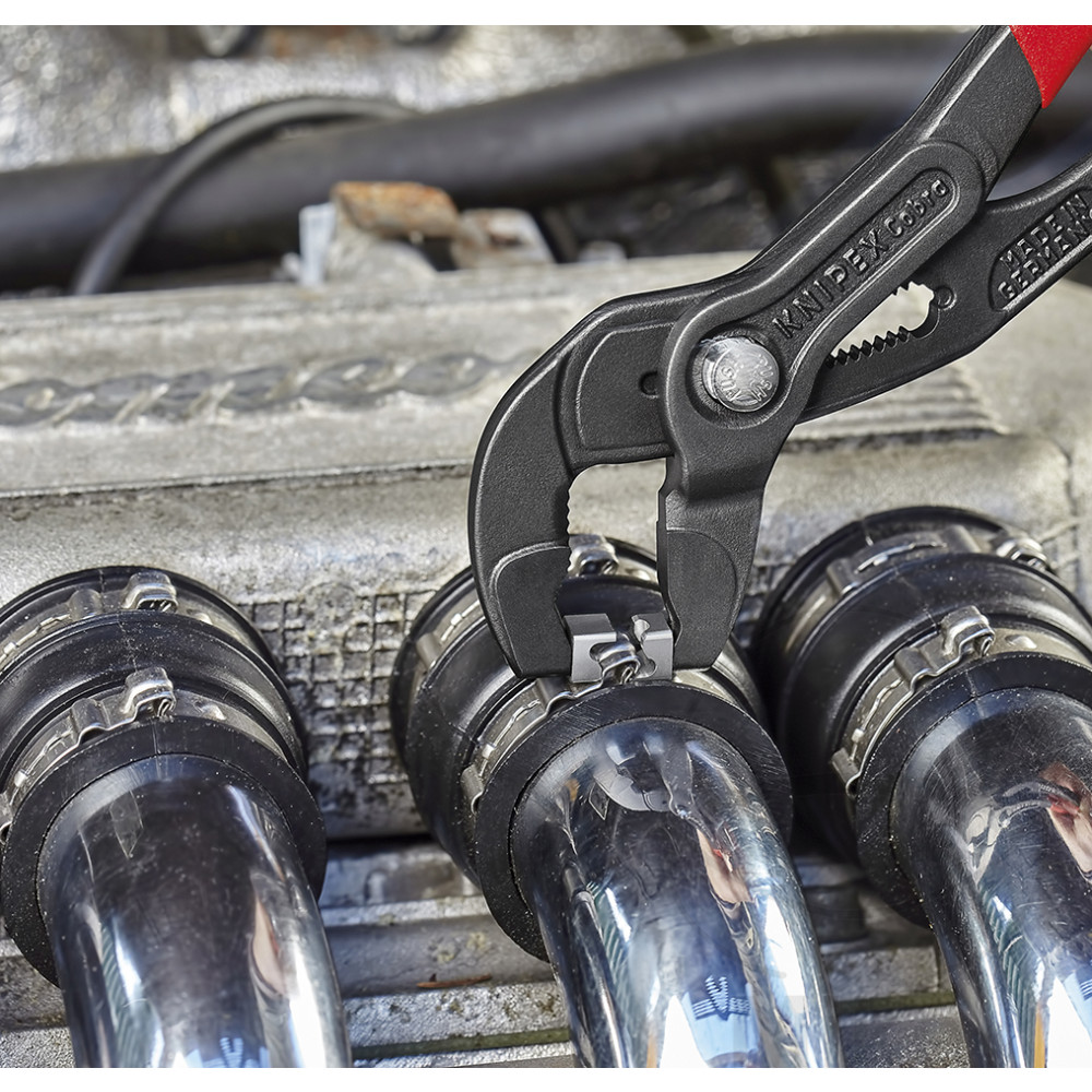 pince pince pince pince – Image 2