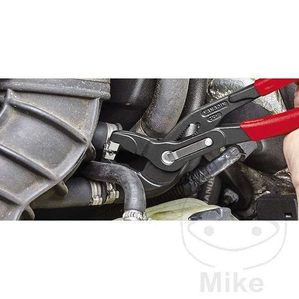 pince pince pince pince – Image 3