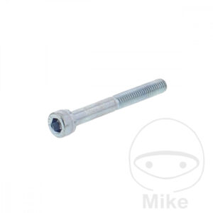 Vis cylindrique pour TAA