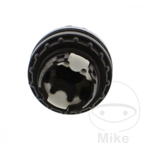 OPTION clé vieille noix