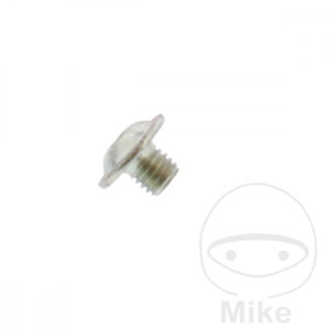 LINSENFLANSCHSCHRAUBE