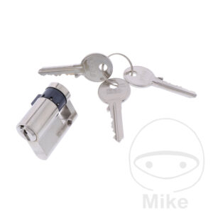 Schliesszylinder Nussbaum