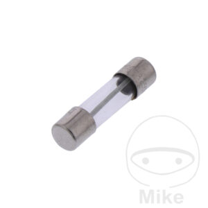 GLASS FUSE TR 100MA 20X5