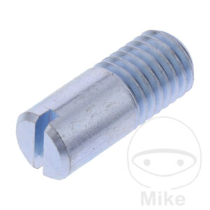 SCHAFTSCHRAUBE Nussbaum