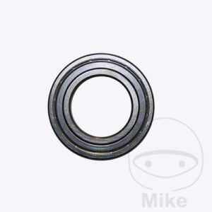 RADIAL CARRIER 6007Z Ravaglioli