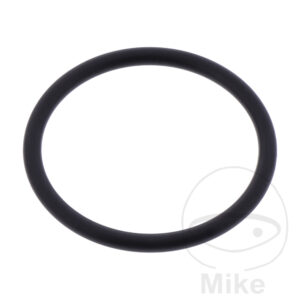 O-RING 980118