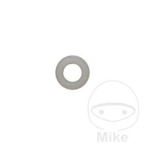 Disque en plastique pour