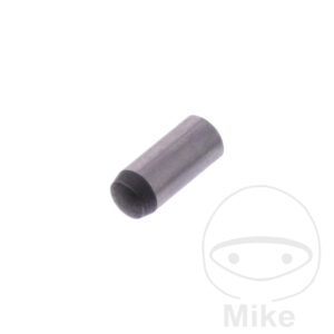 Führungsstift 4X10 Monty