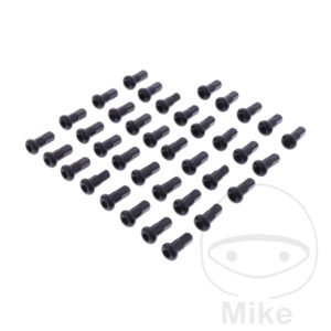 Jeu d'écrous de rayon arrière