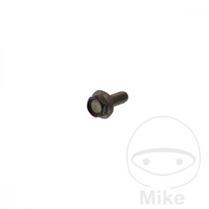 Vis de Disque de Frein (pièce origine)