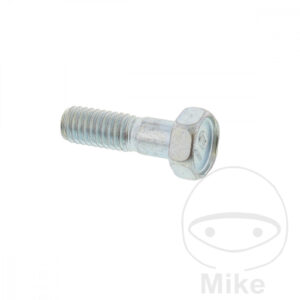 Vis de disque de frein (Pièce origine OE