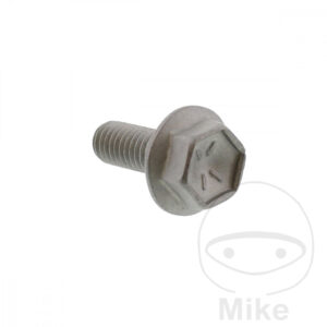 Vis de Disque de Frein (pièce origine)