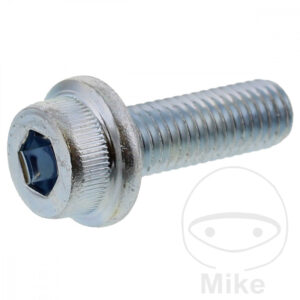 Vis de Disque de Frein (pièce origine)