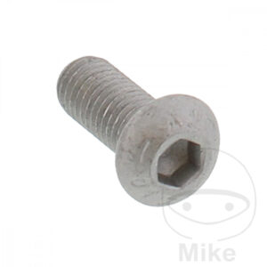 Vis de Disque de Frein (pièce origine)