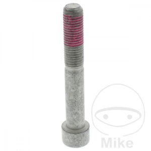 Vis (Pièce origine)