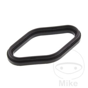 Joint de puits de bougie (Picèe origine)