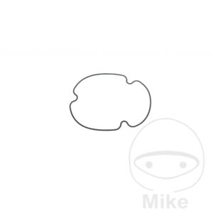 Joint de carter d'allumage (Pièce origine)