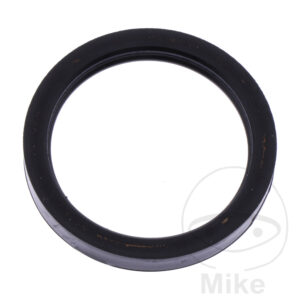 Joint de puits de bougie (Picèe origine)