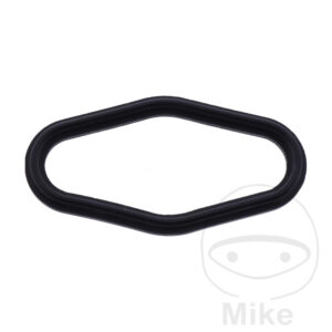 Joint de puits de bougie (Picèe origine)