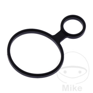 Joint de puits de bougie (Picèe origine)