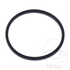 Joint de puits de bougie (Picèe origine)