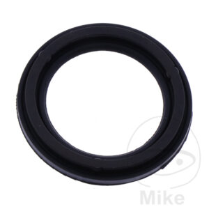 Joint de puits de bougie (Picèe origine)