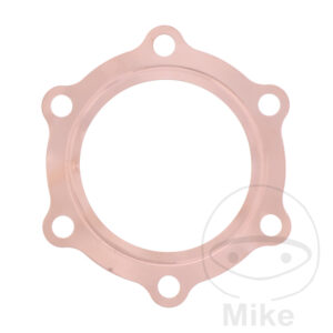 Joint de culasse (Pièce origine)