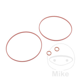 O-RING Kit (Pièce origine OEM)