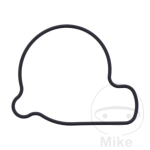 Joint de couvercle de pompe à eau (Pièce