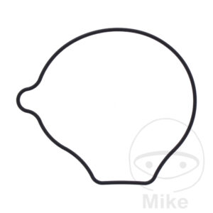 Joint de couvercle de pompe à eau (Pièce