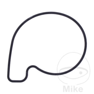 Joint de couvercle de pompe à eau (Pièce