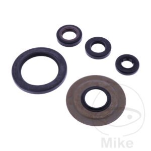 Bague d'étanchéité à lèvres Kit Tourmax