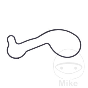 Joint de couvercle de pompe à eau (Pièce