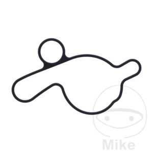 Joint de couvercle de pompe à eau (Pièce